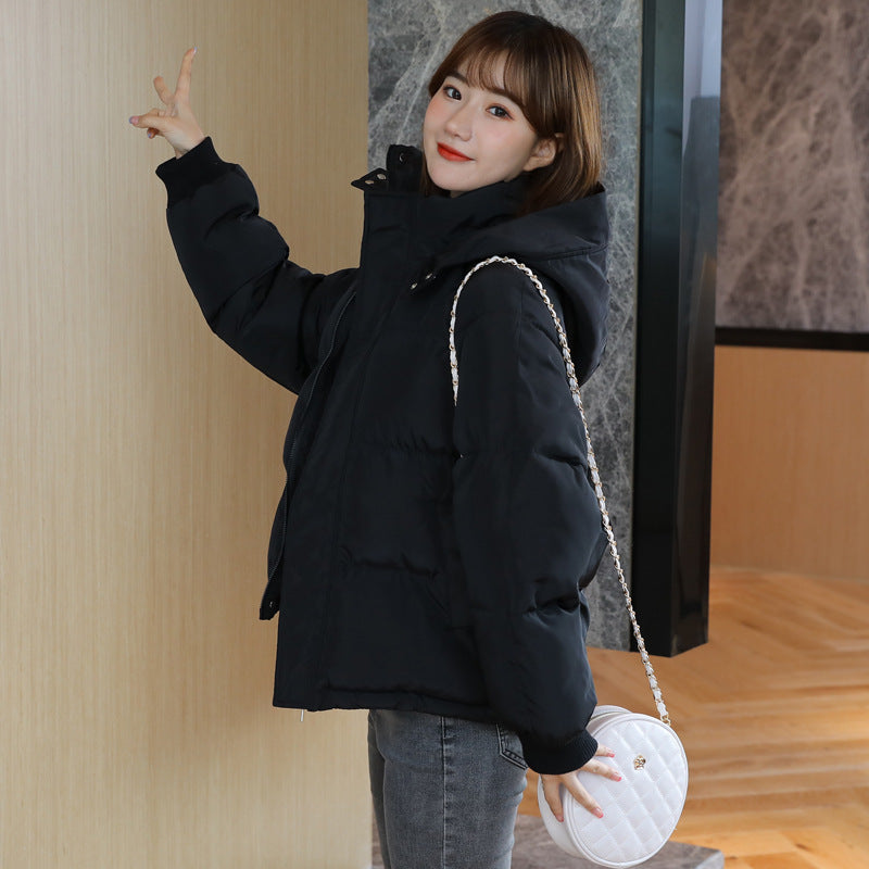 Winter Jacket with Warm Puffer and Capuchon Elegant for Women | Ideal for Winter