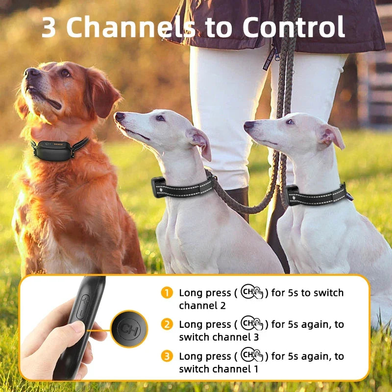 Electric Dog Training Collar – Remote Control with Beep, Vibration, and Static Modes 6